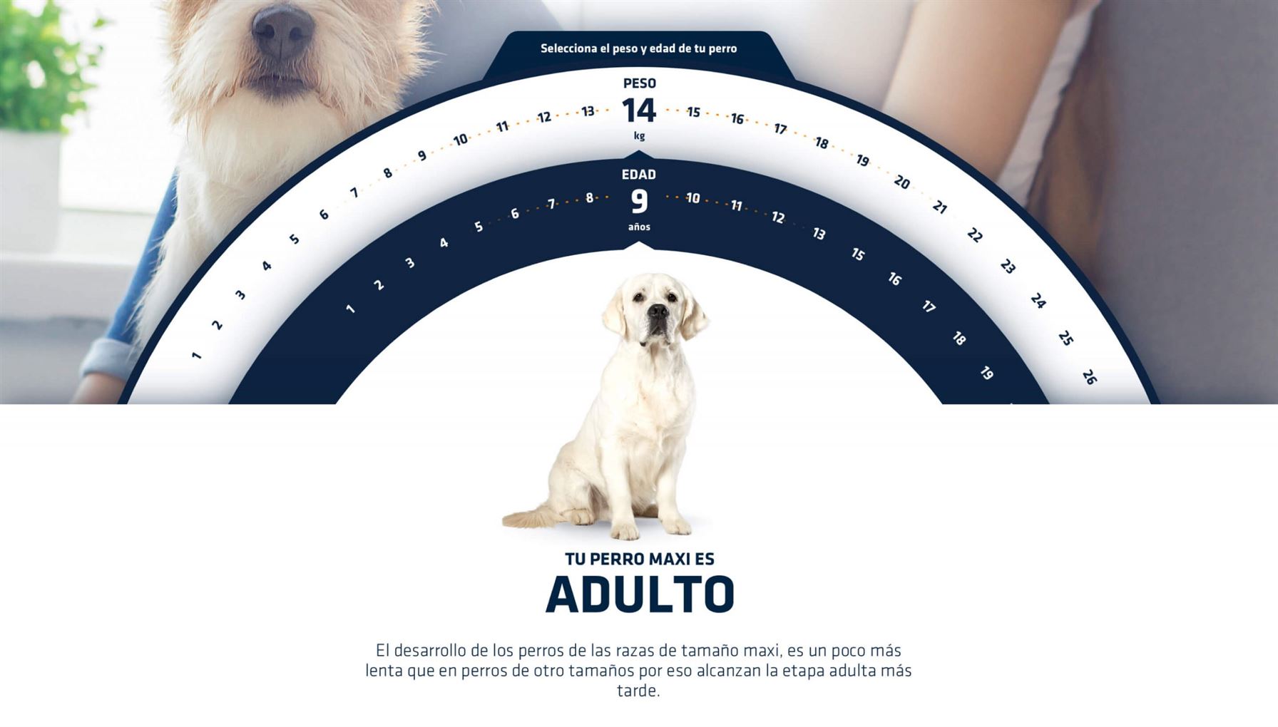 advancemadre_1