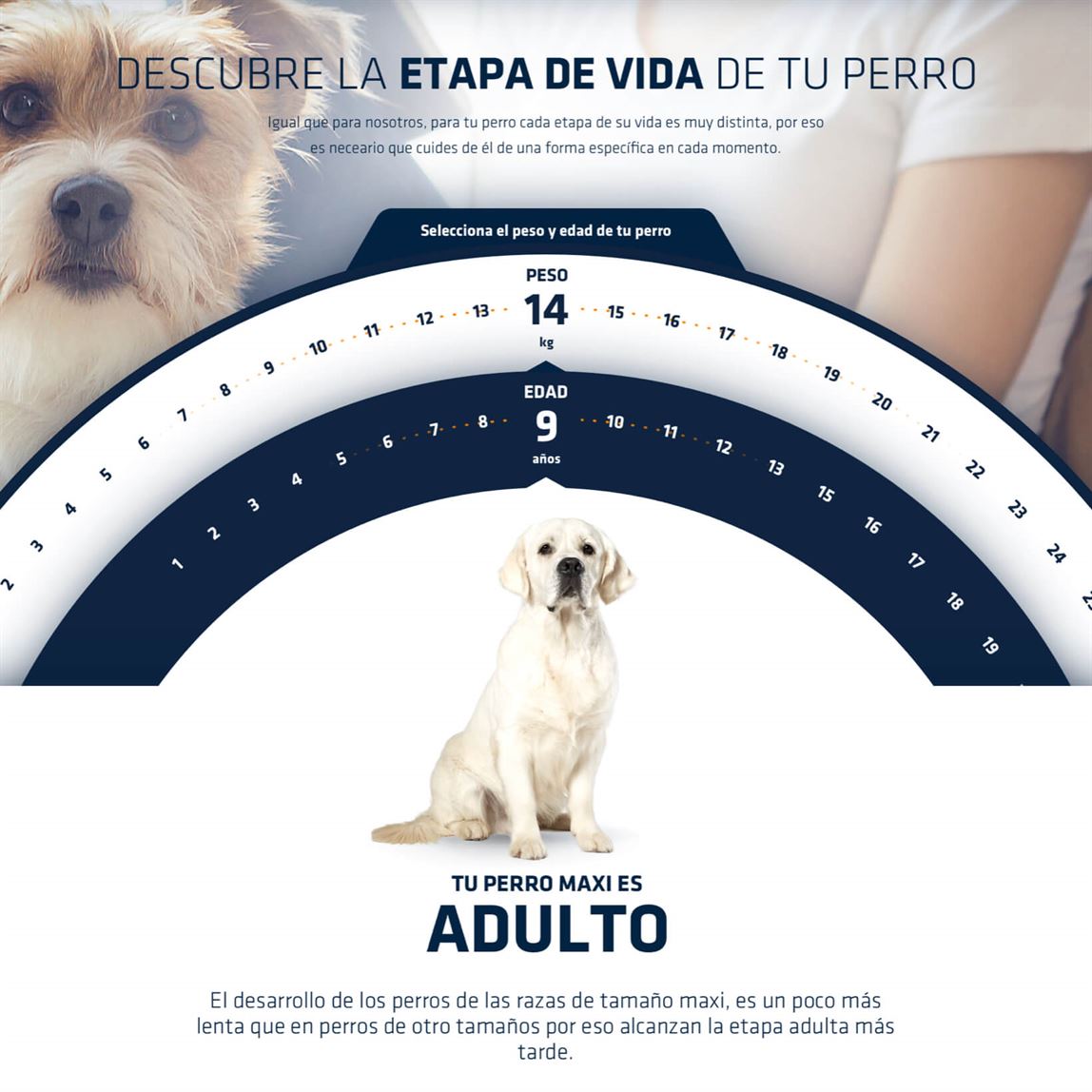advancemadre_1_mobile