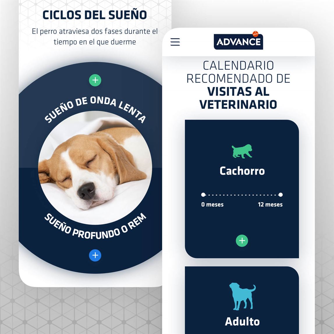 advanceweb_2_mobile